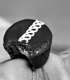 sn00pchix5074
